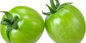 Indian Fresh Green Tomato