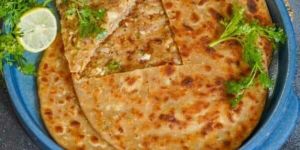 Frozen Paneer Onion Paratha
