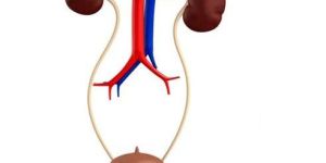 Urology Treatment Services