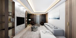 Living Room Interior Designing Services