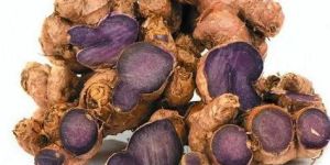 Organic Black Turmeric