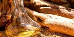 Sandalwood Essential Oil