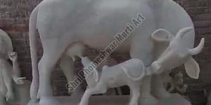 White Marble Cow