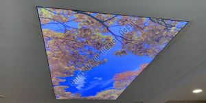 Stationary Stretch Ceiling