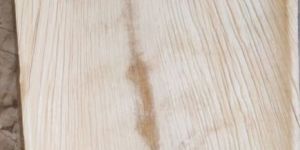 Large Square Areca Leaf Plate