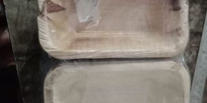 6 X 4 Inch Rectangle Areca Leaf Plates