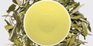 White Peony- Baimudan Tea