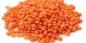 Orange Masoor Dal