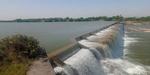 Check Dam Construction Service