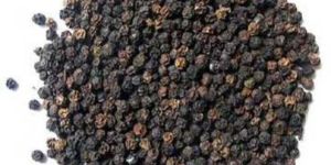 Black Pepper Seeds