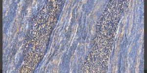 Ethen Blue Glazed Vitrified Floor Tiles