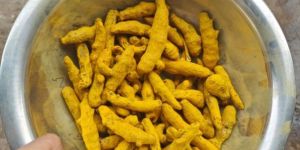 Dry Turmeric