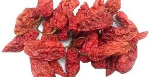 Jolokia Dried Red Chilli