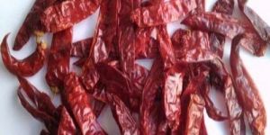 S273 Dried Red Chilli