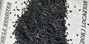 Black Sesame Seeds
