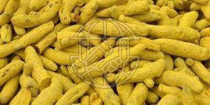 Turmeric Finger