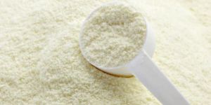 Milk Powder