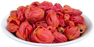 Red Nutmeg Mace Flower