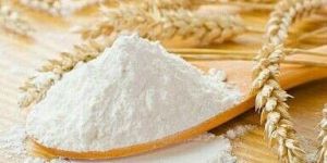 Refined Wheat Flour
