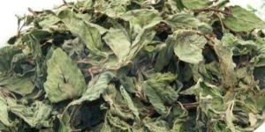 Dried Mint Leaves