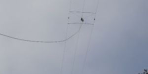 Uis Infra Hf 3 Folded Broadband Hf Dipole Antenna