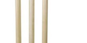 Wooden Cricket Stump