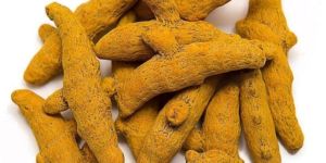 Rajapuri Turmeric Finger