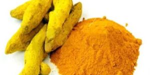 Sangli Turmeric Powder