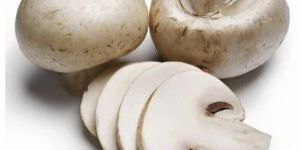 Fresh a Grade Button Mushroom