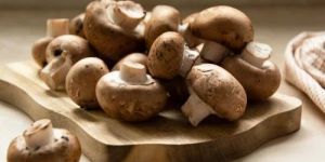 Fresh Oyster Mushroom