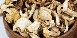 Organic Dried Button Mushroom