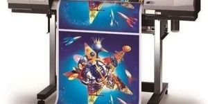 Eco Solvent Vinyl Printing Services