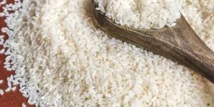Short Grain Basmati Rice