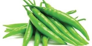 Fresh Green Chilli
