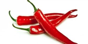 Fresh Red Chilli