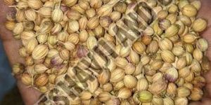 Eagle Coriander Seeds
