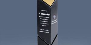 12 x 2.75 Inch Wooden Trophy