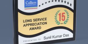 12 X 9 Inch Wooden Award Certificate