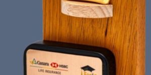 8 Inch Wooden Trophy