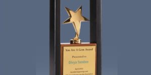 8 x 4.5 Inch Wood and Metal Trophy