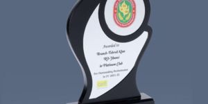 9.5 x 6.75 Inch Wooden Trophy