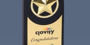 9.75 x 5.25 Inch Wooden Trophy