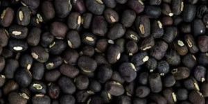 Whole Black Urad Dal