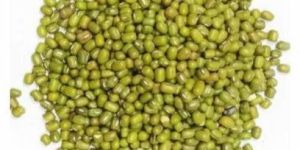 Whole Green Moong Dal