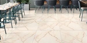 GVT Vitrified Tiles