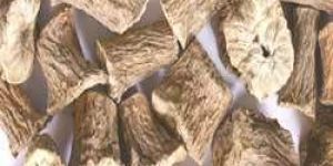 Hand Cut Chicory Roots