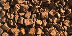 Machine Cut Chicory Cubes