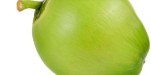 Green Coconut