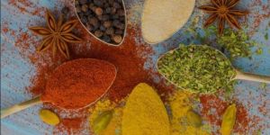 South Indian Spices