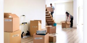 Domestic Relocation Service